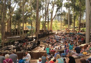 Community Events & Festivals in the Elgin Valley